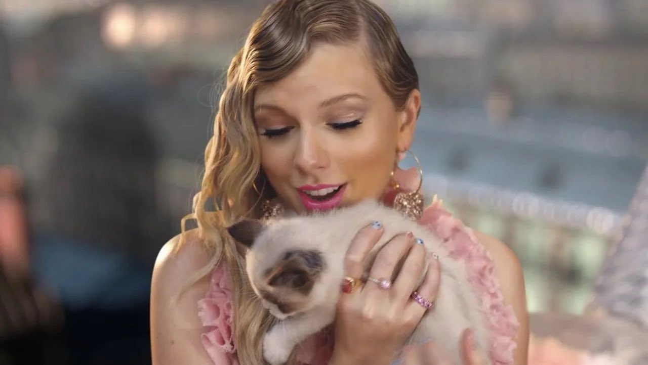 Swifties Celebrate Four Years Since Taylor Swift Adopted Her Cat Benjamin Button